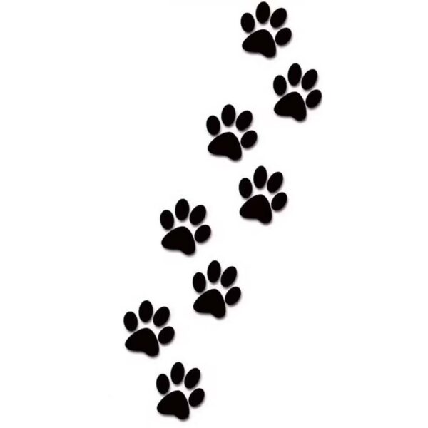 Sticker & Decal for Car & Bike